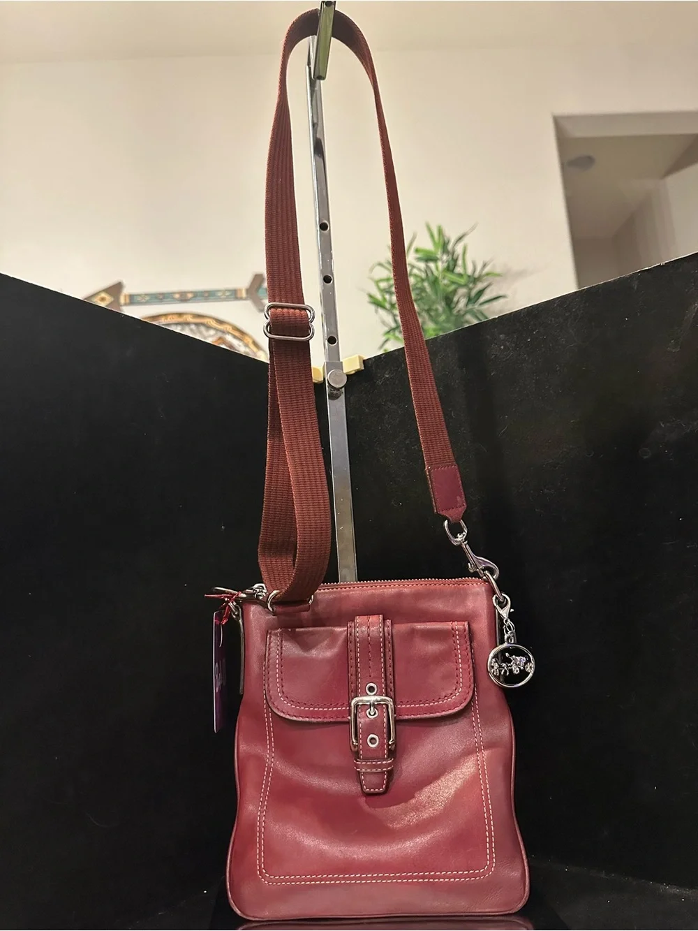 Coach crossbody rich